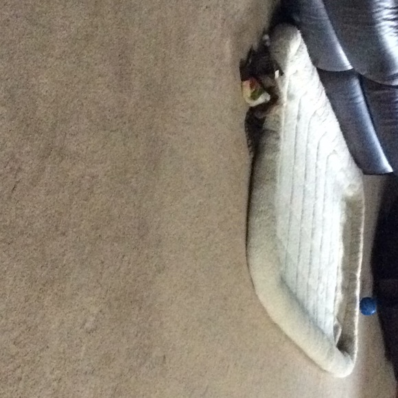 Meet your Posher, Brenda - Picture 1 of 1